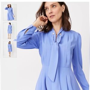 Ann Taylor Women’s Tie Neck Pleated Flare Dress